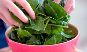 Verduras_espinacas