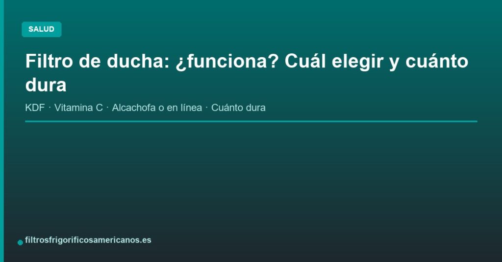 Filtro de ducha: ¿funciona? Cuál elegir y cuánto dura