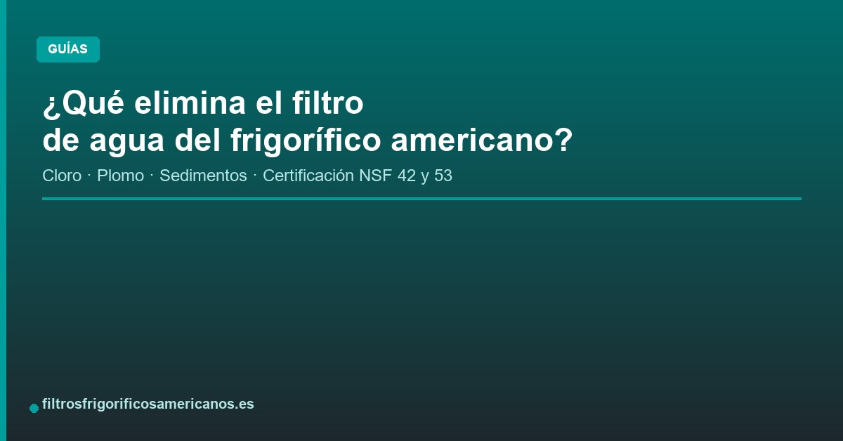 Lee más sobre el artículo ¿Qué elimina el filtro de agua del frigorífico americano?